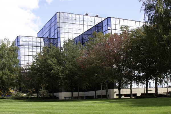 Commercial Tree Trimming in Maryville